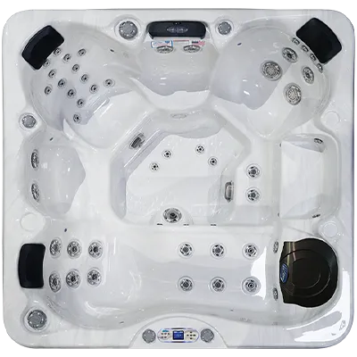 Avalon EC-849L hot tubs for sale in Danbury