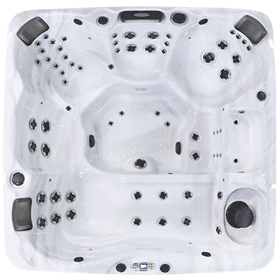 Avalon EC-867L hot tubs for sale in Danbury