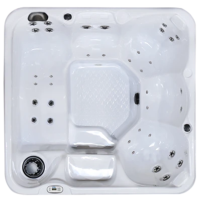 Hawaiian PZ-636L hot tubs for sale in Danbury